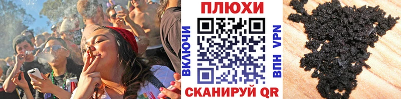 ГАШ Premium Власиха