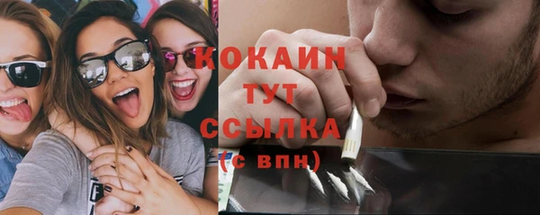 mix Пересвет
