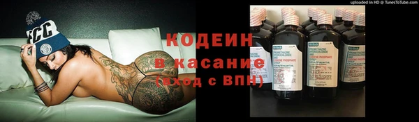 mix Пересвет