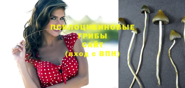 меф Переславль-Залесский