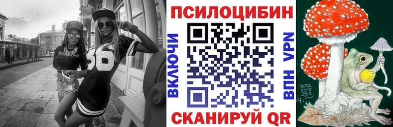 это какой сайт  закладки  Власиха  Псилоцибиновые грибы мицелий 